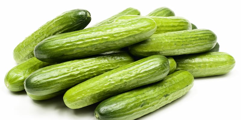 خیار قلمی ریز مناسب تهیه ترشی و مصرف روزانه